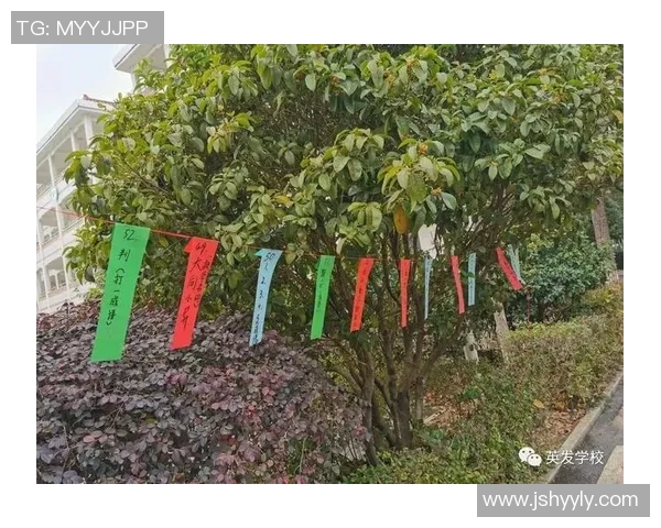 灯谜与足球明星的奇妙碰撞揭示了运动与文化的完美融合