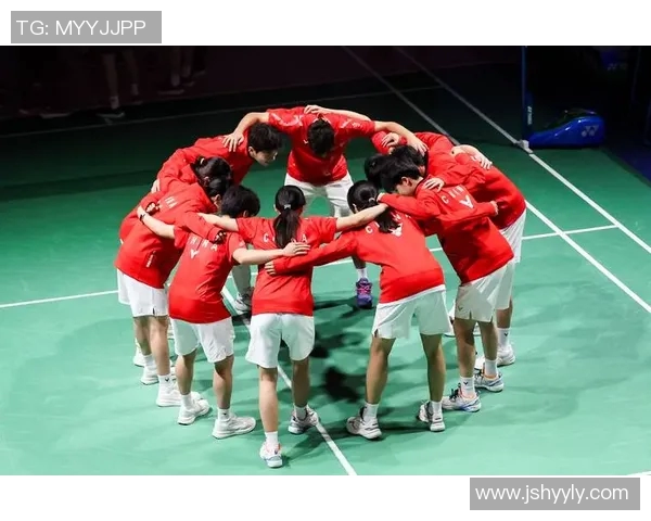 南京羽毛球队状态分析与未来展望聚焦羽毛球竞技的热情与挑战