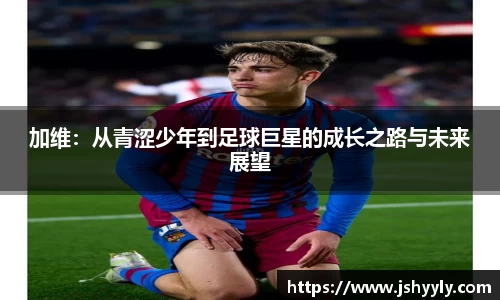 PA视讯官网